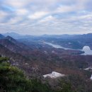 게으른 악어 이미지