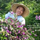 팜스토어 이미지