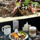 아쿠아수족관 | 의정부수족관카페 [아쿠아랑]에서 직접 다녀온 후기 :)