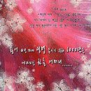 오시어 Daum카페