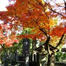 미야모토 무사시(宮本 武藏) 이미지