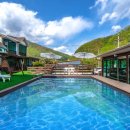 라고스테마 이미지