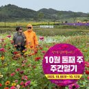 가람떡방앗간 | 2025년 10월 둘째 주 주간일기
