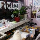 김태화동물병원 이미지