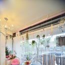 미미 펫 그루밍 이미지