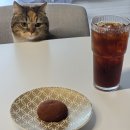 와이케이푸드 | 와이케이 두쫀쿠(feat.3500원, 인천 서구 두바이 쫀득쿠키 파는 곳, 티베이크)