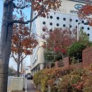 화정점기아오토큐 | (경기/고양)기아오토큐 오토킹 교통사고 자동차 수리 이용후기(후미추돌사고 뒷범퍼 교환)