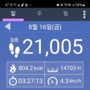 안자포곡 | ♤소무의도 호룡곡산♤8.16