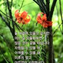 소昭 | 小暑(소서)