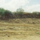 양구해안선사유적 이미지