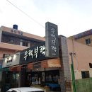 울산신정동 우럭회 맛집 &#39;우럭부락&#39;에서 불금 달렸어요~