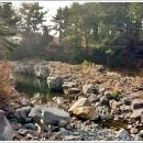 내도알작지 이미지