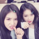 차오루 이미지