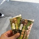 정평공원(중산어린이공원) | 중국 칭다오 중산공원 판다 있는 동물원