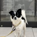 상하청솔목장 이미지