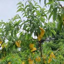 억만농장 이미지