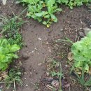 구억농장 이미지