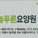 늘푸른요양원 네이버블로그