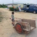 미건농장 이미지