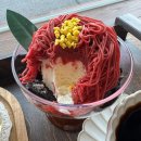 제주 동쪽 북촌 카페! 쏘머치모어 후기 특별한 메뉴와 커피, 디저트 맛집 혼자가기도 좋은 분위기깡패...