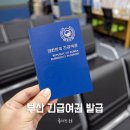 부산광역시 강서구청 | 부산 긴급여권 발급, 우당탕탕 강서구청 방문한 후기