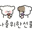 도니장어