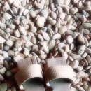 황토마을숯가마 이미지