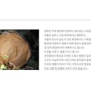 서순천팀버가든
