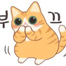 중화솔로몬 이미지