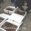 다수식당 브레이크뉴스