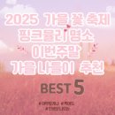 신흥목장 | 이번 주말 가을 꽃 축제 나들이 BEST 5! 핑크뮬리 명소부터 감성 가득 국내 여행지