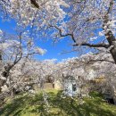 동해시-4 이미지