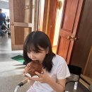 지은 Daum카페