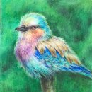 보태니컬아트(색연필화) 이미지