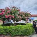 웅포면행정복지센터 이미지