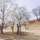 한국에니어드라마연구원