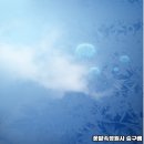 꽃밭 노래연습장 이미지