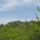 밤나무길 이미지