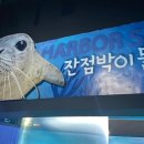 아울정 이미지