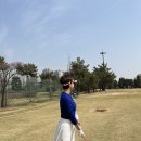 민골프클럽 이미지