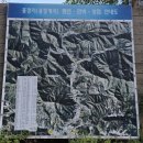 달빛언덕민박 | 평창 봉평 가볼만한 곳 _ 평창효석문화제,봉평전통시장,흥정계곡,허브나라농원