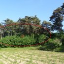 병산동 이미지