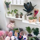 서초대로42길 44 이미지