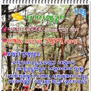 양지교통(주) 이미지