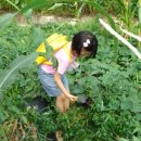 예진농장 이미지