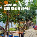 함안 대형 카페 식물원 아라깨비베이커리카페 경남 창원 근교