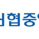 신용협동조합중앙회 티스토리