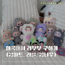 행복마트 | [미국 일상] 미국에서 라부부 사모은 후기 🎀 덕후의 행복한 소비 (팝마트, 팝나우, 리셀)