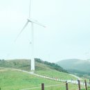 대관령밧데리 이미지