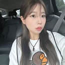 청산동물병원 | 미용실 유목민 생활 청산했어요! 그냥미용실 대공개